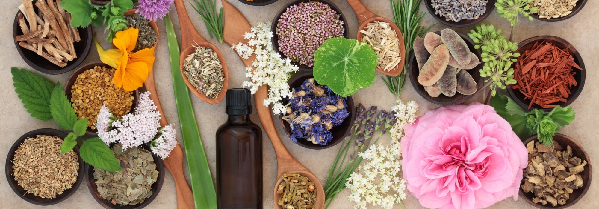 Grasse capitale du parfum : le voyage des sens