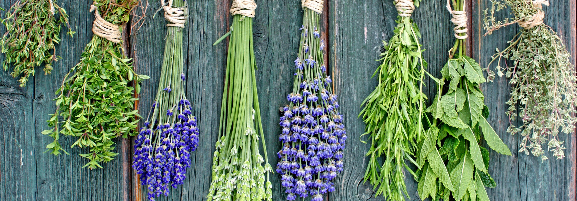 Les herbes de Provence