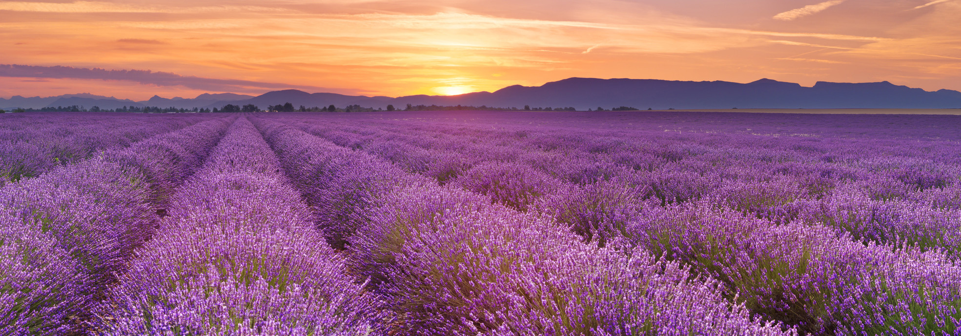Apprendre le français en Provence