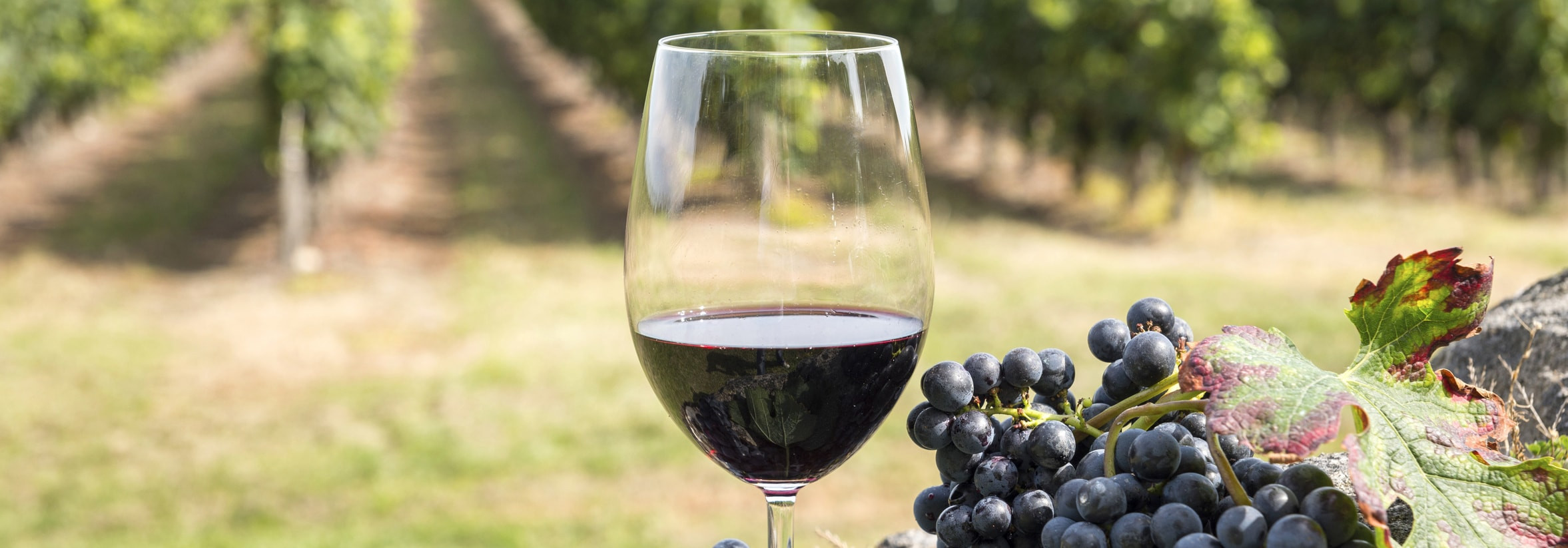 Savoir-vivre à la française : parler français autour d’un verre de vin !