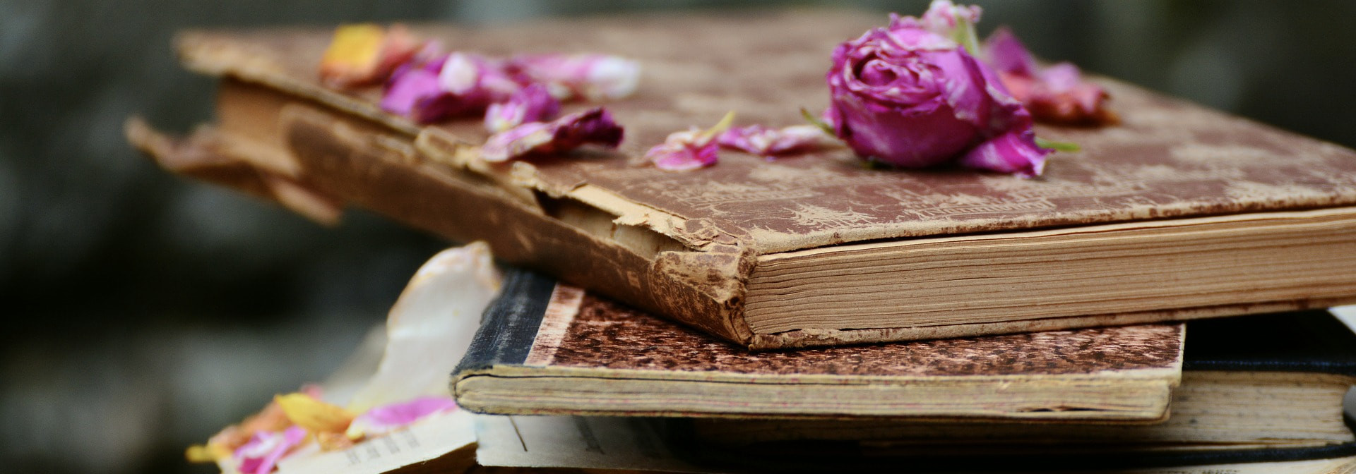 Apprendre le français à travers les livres