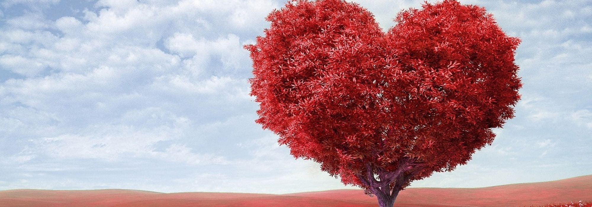 Phrases en français sur l’amour et la vie