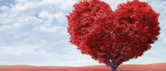 Phrases en français sur l’amour et la vie