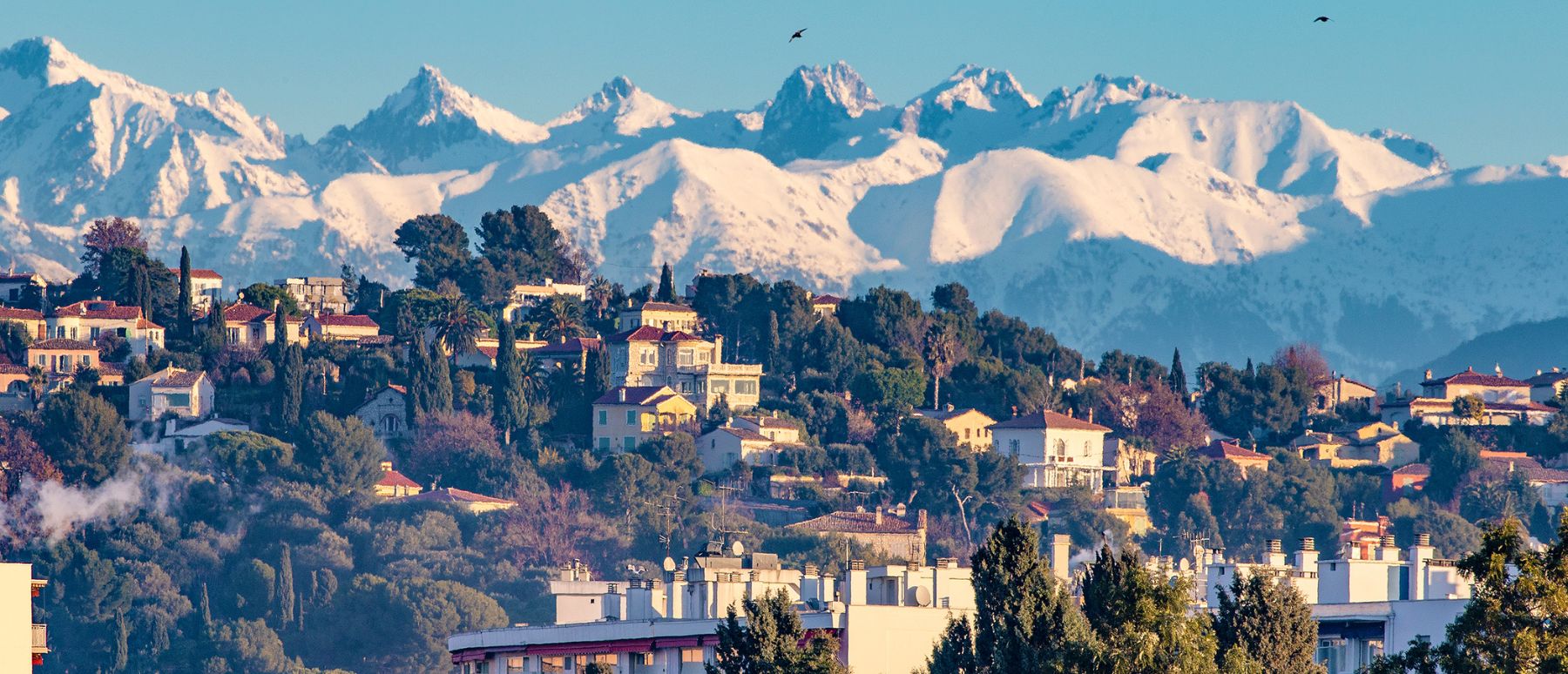 Winter season in french